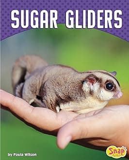 Sugar Gliders Library Binding – Illustrated, 1 August 2018