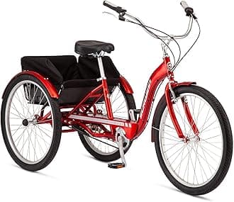 Schwinn Meridian Bike