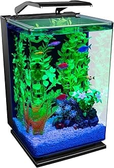 Aquarium Kit Fish Tank with LED Lighting and Filtration Included