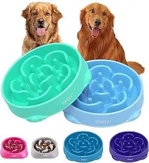 Pet Food Bowls for Large Dogs