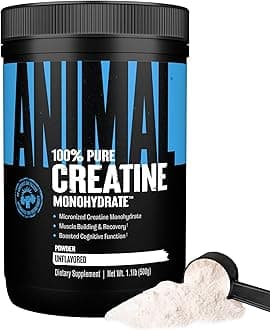 Micronized Creatine – Delay Muscle Fatigue, Enhance Endurance, Boost Strength – Creatine Monohydrate Supplement for Men & Women – 500g