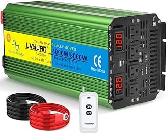 LVYUAN 4000 Watt Heavy Duty 12VVVV