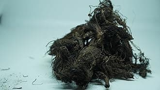THOGAI’S -”JADAMANJI”- Jatamansi/Tapaswani/Bhytajata/Indian spikenard/Musk-root/Indian nard/Nard Indian/Balchara/Jatamavshi/Jatamamsi/Bhutijata/Billilotan (50 GRAMS (PCK OF 1))