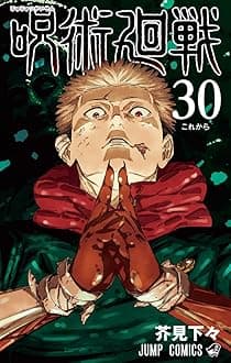 Jujutsu Kaisen 30
