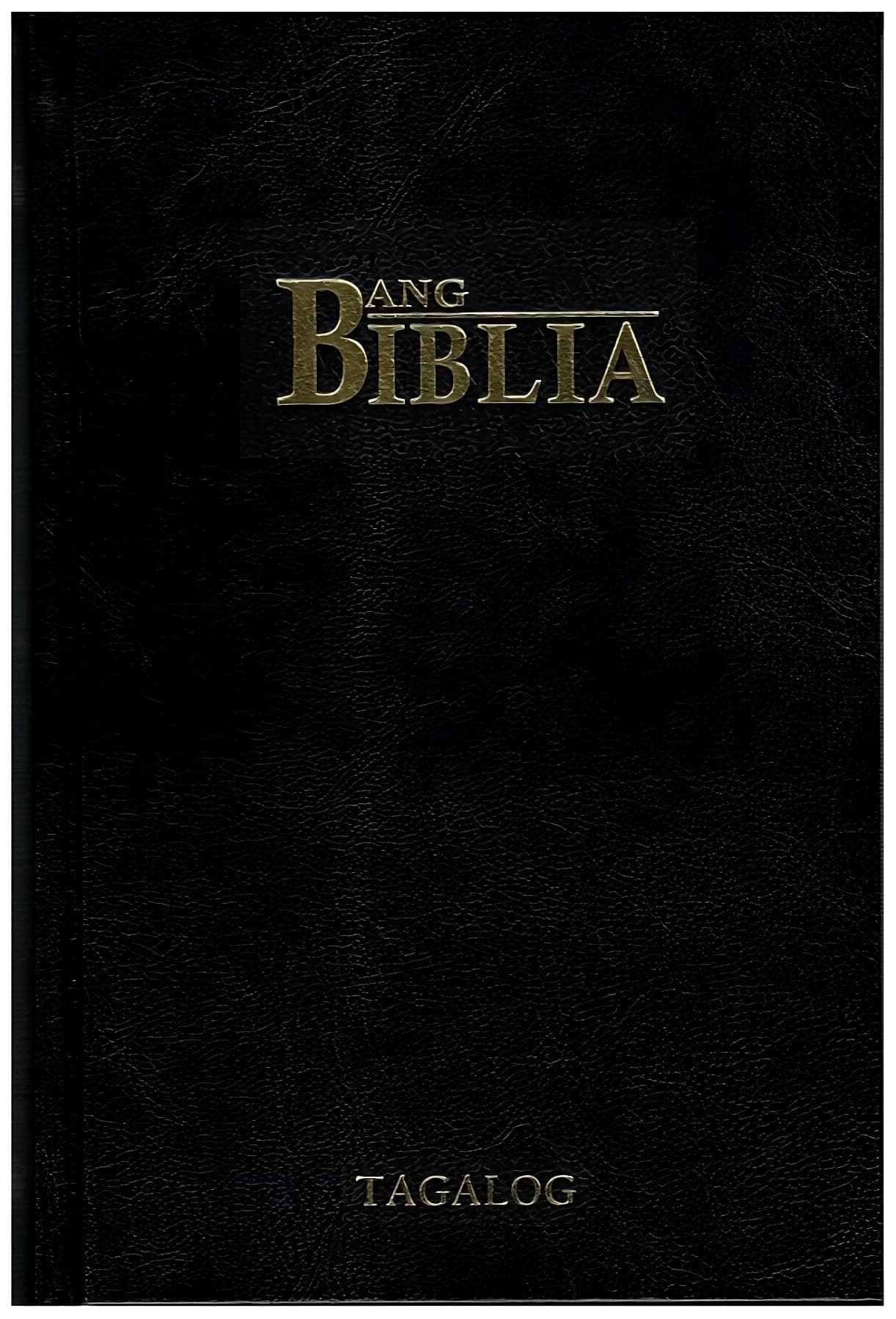 "Tagalog Bible"