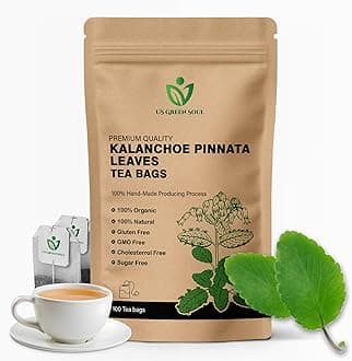 Kalanchoe Pinnata Leaves Tea Bags 50 Tea Bags Healthy Organic Leaves Herbal Tea