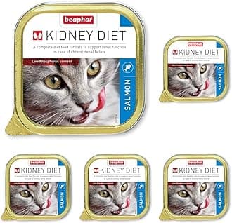 Kidney Diet for Cats | Supports Renal Function | Renal Insufficiency | Vet Recommended | Kidney Care | Low Protein & Low Phosphorus | Salmon Flavour | 100g (Pack of 5)