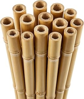 Blado Thick Bamboo Canes - Heavy Duty, Natural Garden Stakes, Strong Bamboo Sticks for Plant Support - Ideal for Gardens, Balconies, Patios, and Outdoor Spaces 2FT,3FT,4FT,5FT,6FT (10, 6ft, 14-16mm)