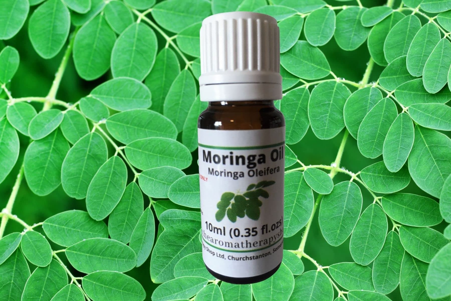 Moringa Oil 10ml