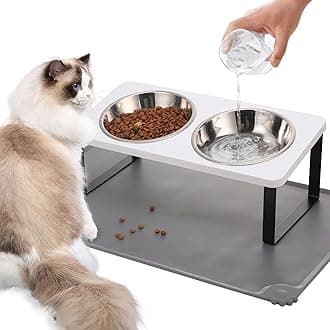 Upgraded Elevated Cat Bowls with Food Mat,15°Tilted Stand Anti Vomiting Raised Cat Dishes for Food and Water,2 Stainless Steel Bowls for Cats and Puppy（White）