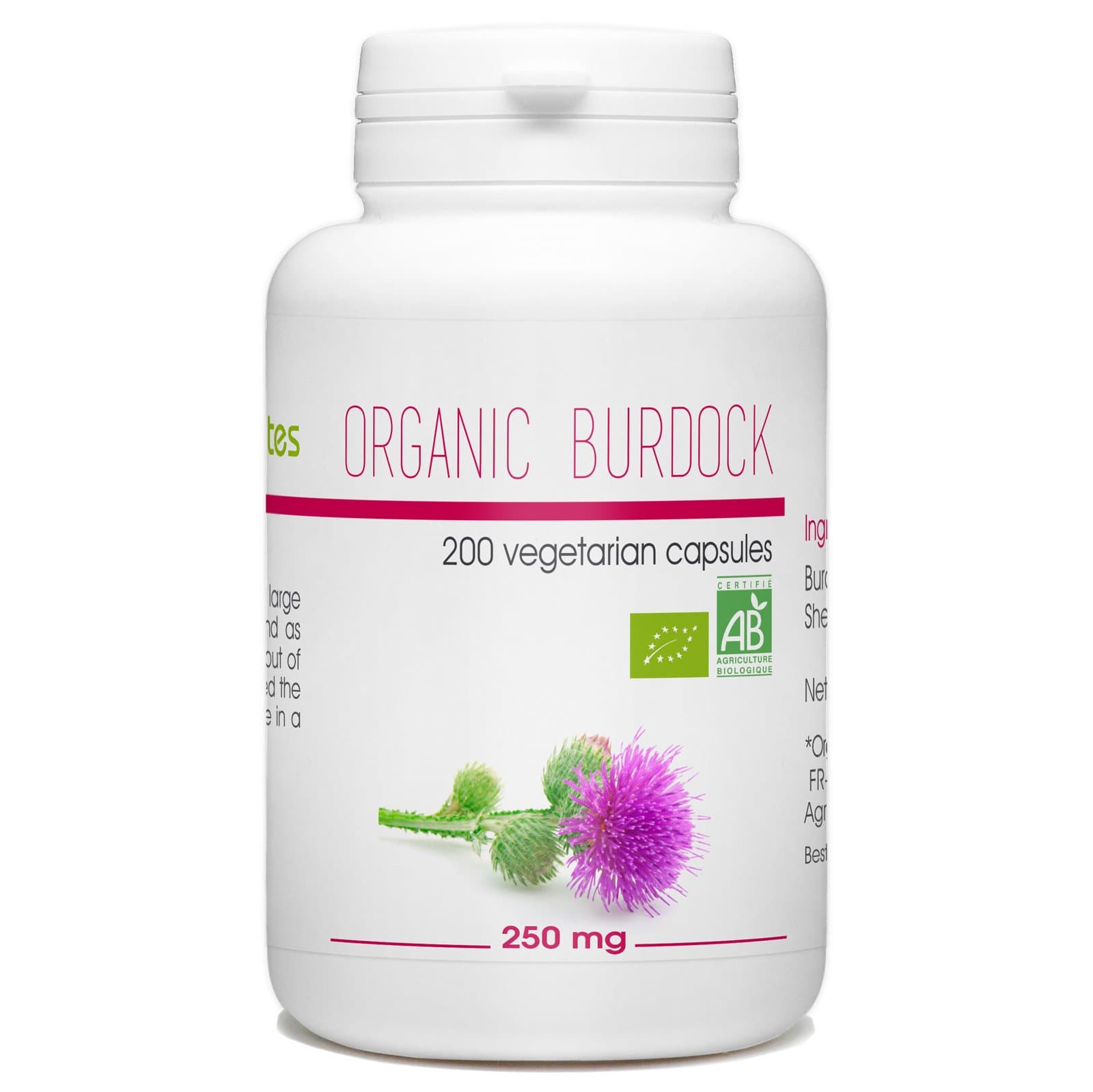 Organic Burdock Root - 250mg - 200 Vegetable Capsules