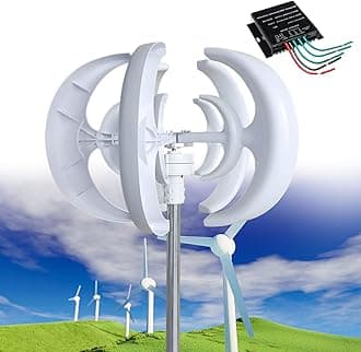 Wind Turbine Generator Kit, 12000W 12V/24V/48V Vertical Wind Turbine Electricity Set, 5 Blade Horizontal Wind Power Generator Kit for Home, Boat, Marine, Monitoring, Street Lighting,White-24V