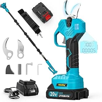 2 in 1 Brushless Pole Electric Pruning Shears with 2 x Rechargeable Batteries, 13 Ft Total Reach Electric Cordless Pole Pruner, 0.8-2 Inch Pole Scissors for Garden Tools