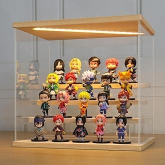 Display Case With LED Light