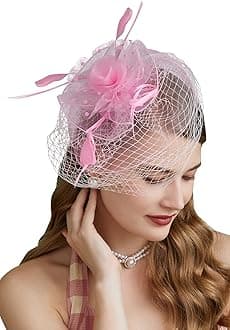 Cizoe Fascinators Hats 20s 50s Hat Pillbox Hat Cocktail Tea Party Headwear with Veil for Girls and Women(D-Pink)
