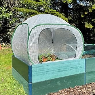 GardenSkill Pop Up Mini Greenhouse - Small Polytunnel Growhouse Cover for Tomatoes Fruit Vegetables Plants (1m x 1m x 0.75m high)