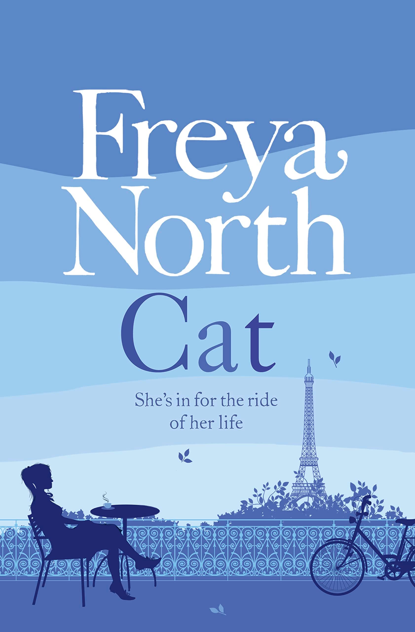 CAT Paperback – 21 Jun. 2012