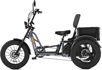 Tour 2400W Dual Motor Electric Tricycle for Adults, 48V 30AH Dual Battery Fat Tire Electric Trike, 25MPH 130Miles Full Suspension AWD Etrike, Torque Sensor, Reverse & Parking (with Upgraded Parts)