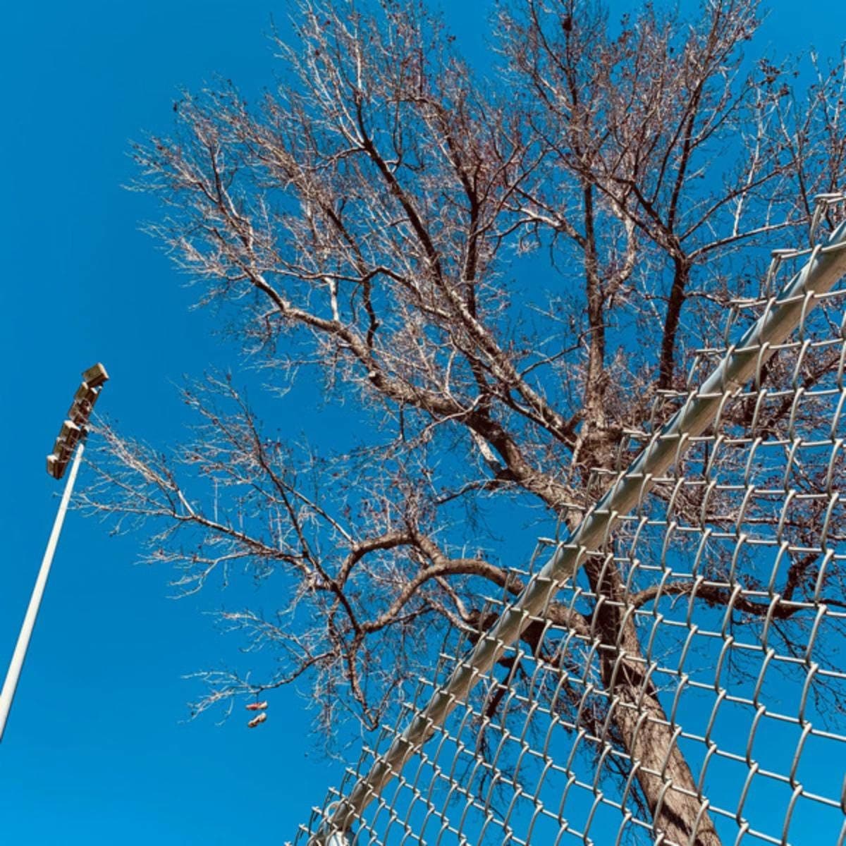 Something Else (Deluxe) [Explicit]