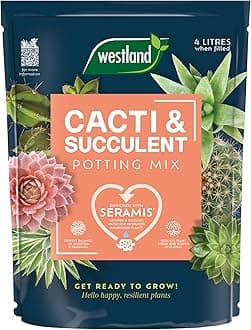Westland Cacti & Succulent Potting Mix 4L Peat Free Soil