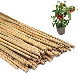 50PCS Plant Stakes,18Inch Natural Bamboo Stakes，Garden Stakes for Indoor and Outdoor Plants，Poles Sticks for Tomatoes,Beans,Flowers,Trees Potted and Climbing Plants
