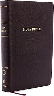 KJV Holy Bible: Personal Size Giant Print with 43,000 Cross References, Burgundy Bonded Leather, Red Letter, Comfort Print (Thumb Indexed): King James Version