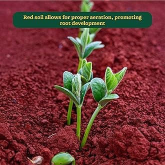 UGAOO Garden Red Soil for All Vegetables, Fruits, Flowers, Trees shrubs, and House Plants - 20 Kg