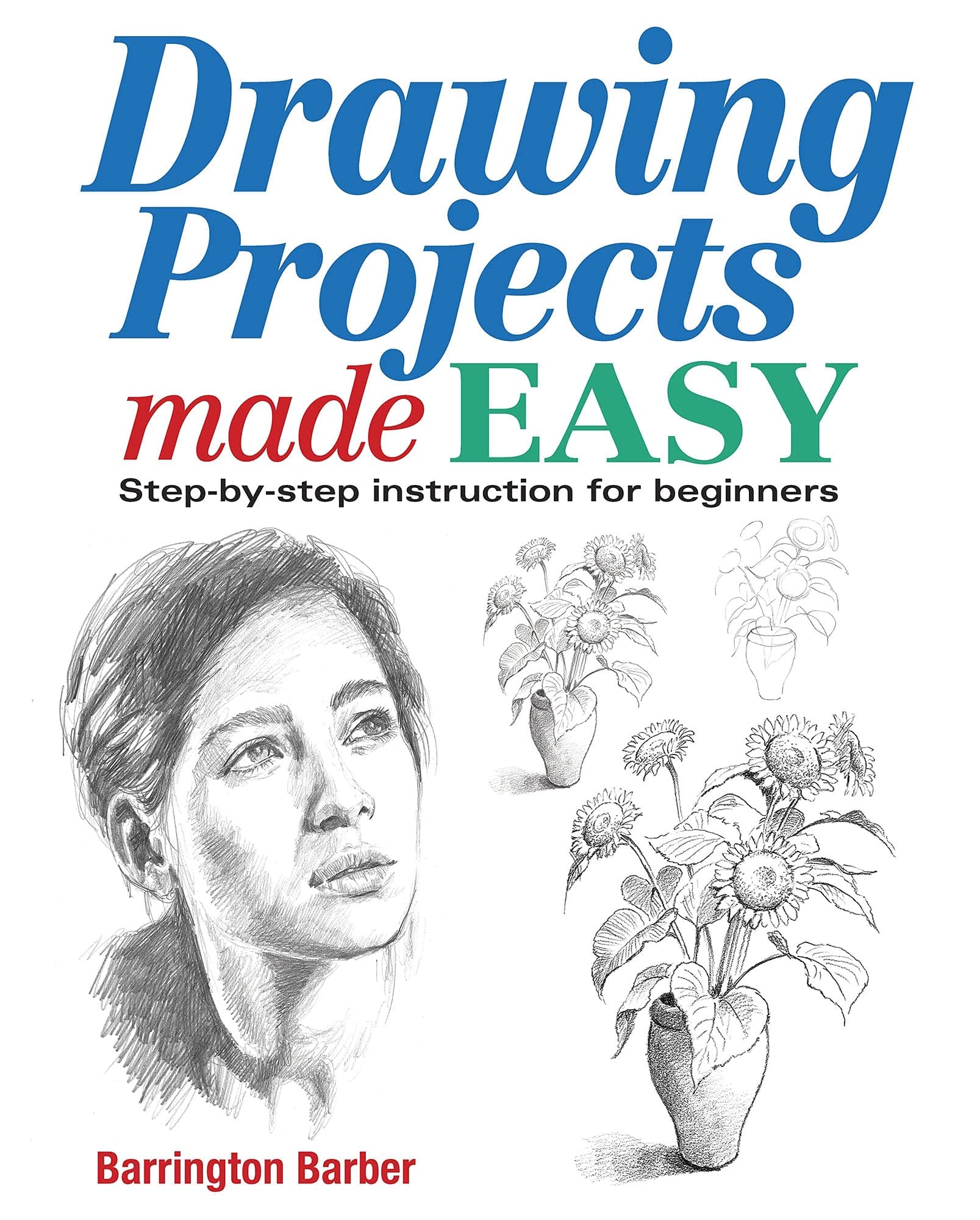Drawing Projects Made Easy: Step-by-Step Instructions for Beginners Paperback – January 15, 2013