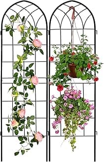 2 Pack 71x20in Rustic Iron Arch Decoration Garden Trellis with Black Metal Coating – Perfect for Supporting Climbing Plants Outdoor, Roses, Vines, Flowers, and Vegetables.
