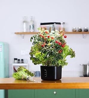 Smart Hydroponics Growing System, 4 Pods Garden Plant Germination Kit（Black）