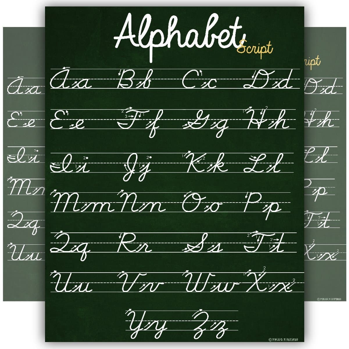 Young N Refined ABC Cursive Script Alphabet Poster Chart with Directional Lines Laminated Great for Teaching and Classroom Decoration 18x24
