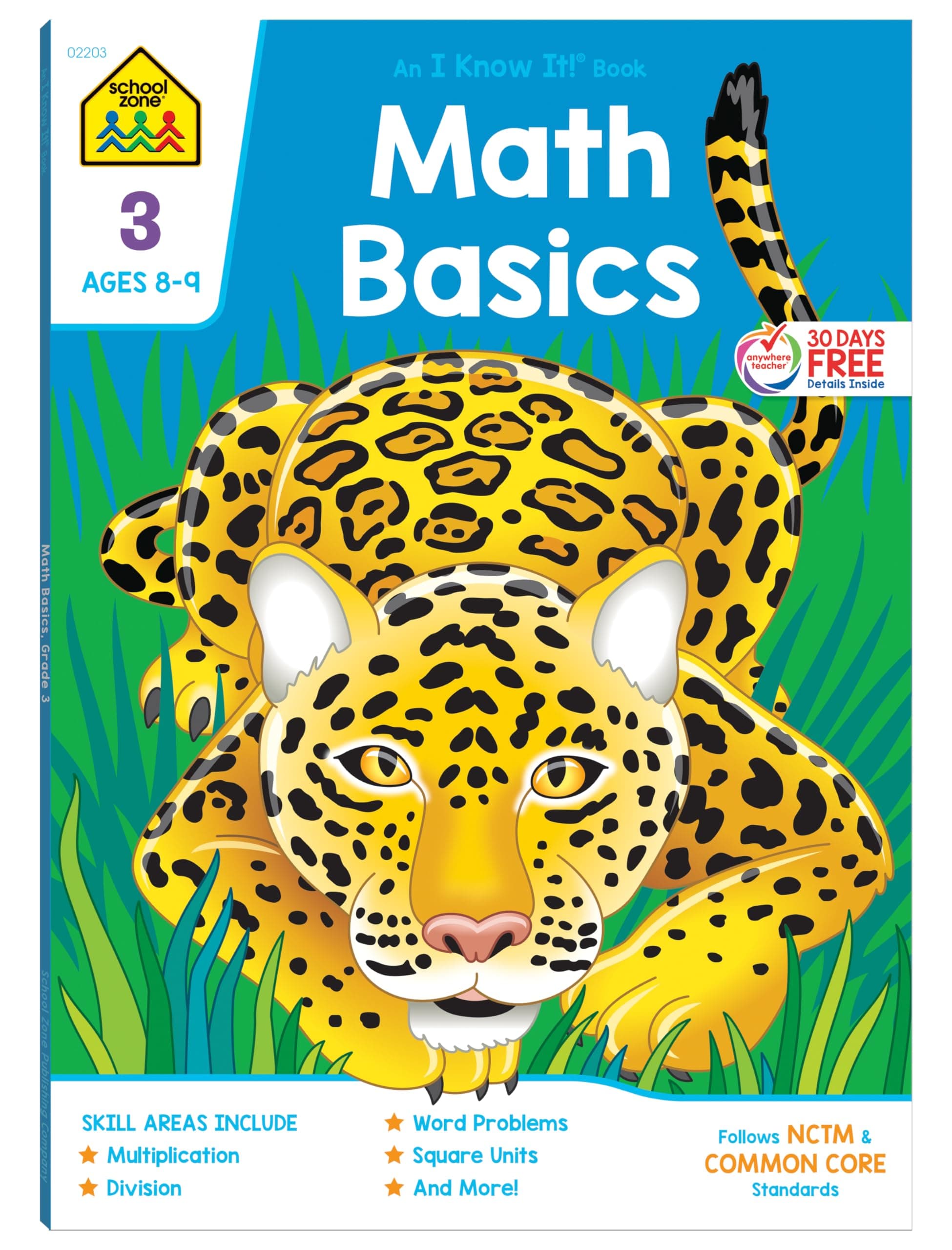 Math Basics 3 Deluxe Edition Workbook