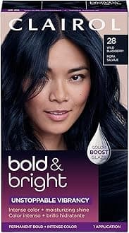 Clairol Bold & Bright Permanent Hair Dye, 28 Wild Blackberry Hair Color, Pack of 1