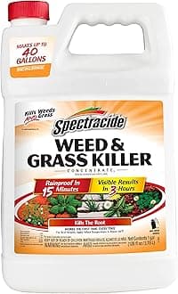 HG-96620 Walkways and Driveways Weed and Grass Killer Concentrate 1 Gallon, 1 Gal