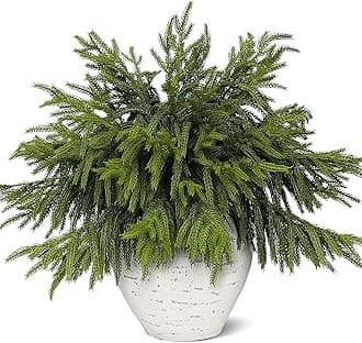 20 Pcs Real Touch Norfolk Pine Branches, Artificial Christmas Green Plants Branch Faux Greenery Stem Fake Pine Picks for Vase DIY Crafts Garland Wreath Xmas Indoor Outdoor Decor(18 Inches)