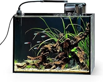 2.5 Gallon Nano Nature Aquarium Kit, Ultra-Clear Rimless Desktop Fish Tank with Light and Filter, Perfect for Small Fish, Shrimp, or Betta, Basic Version, Black