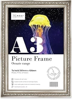 A3 Silver Ornate Picture Frame Fits A3 (29.7 x 42cm - 11.7 x 16.5in) Poster, Photo, Artwork, or Print. Antique Style Portrait and Landscape Display with Wall Hooks