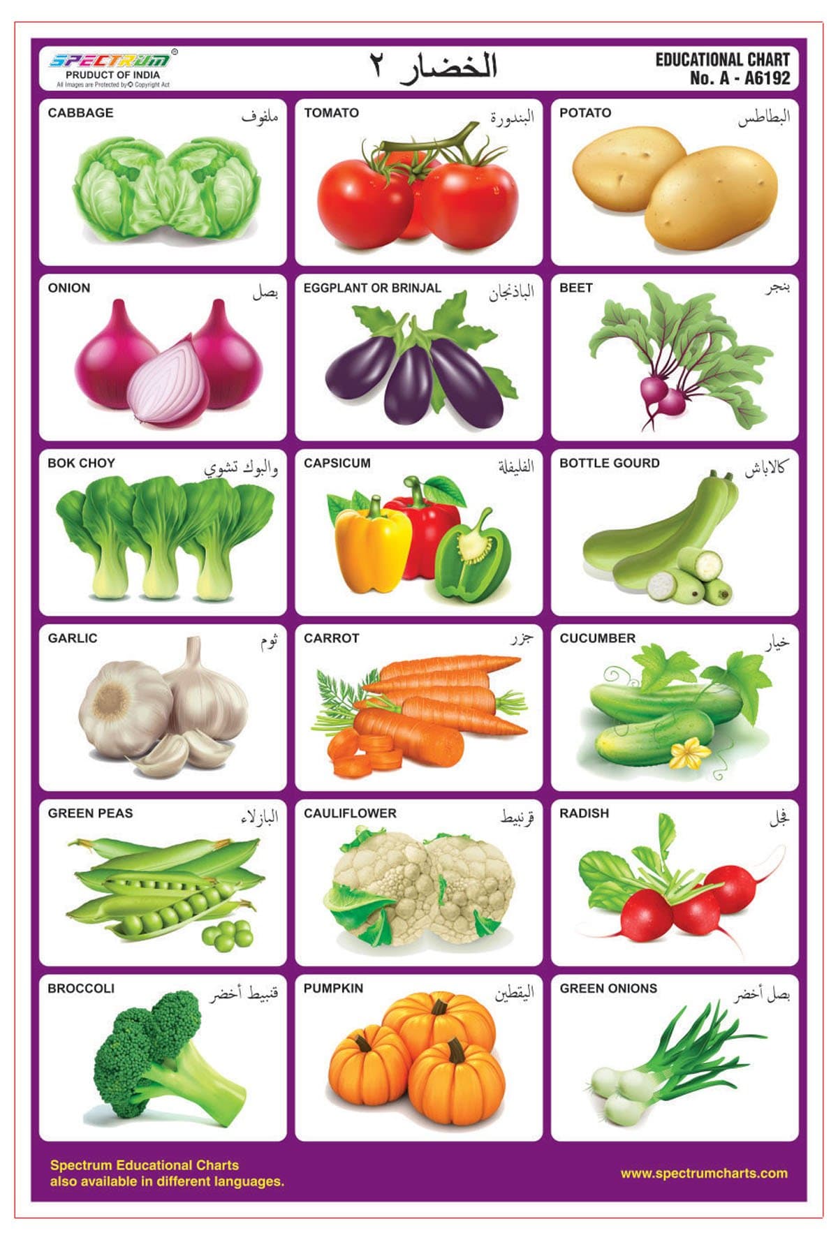Spectrum Arabic Language Vegetables-2 Laminated Wall Chart Pre-Primary Kids Learning