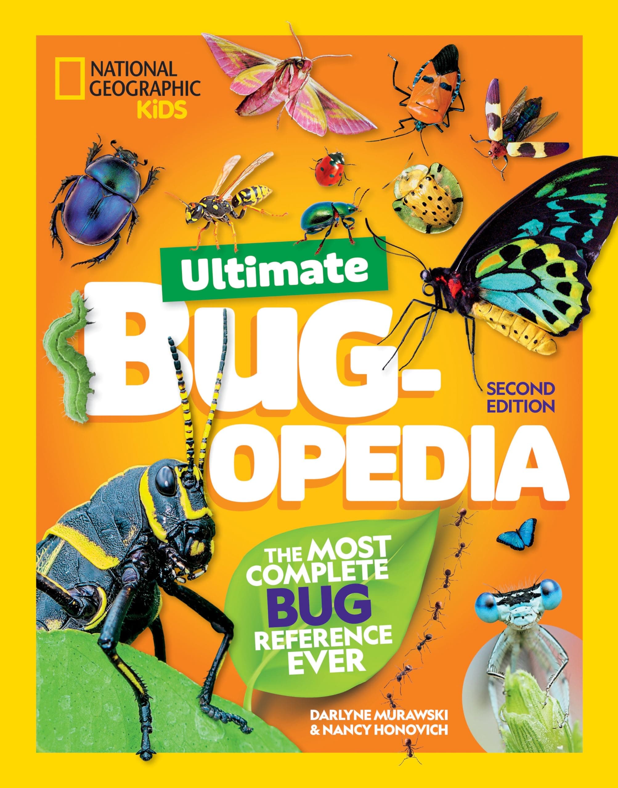 Ultimate Bugopedia: The Most Complete Bug Reference Ever Hardcover – 16 April 2024