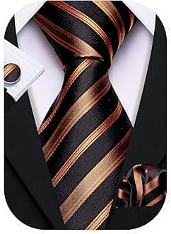 Barry.Wang Formal Men Ties Silk Necktie for Wedding Business Woven Elegant