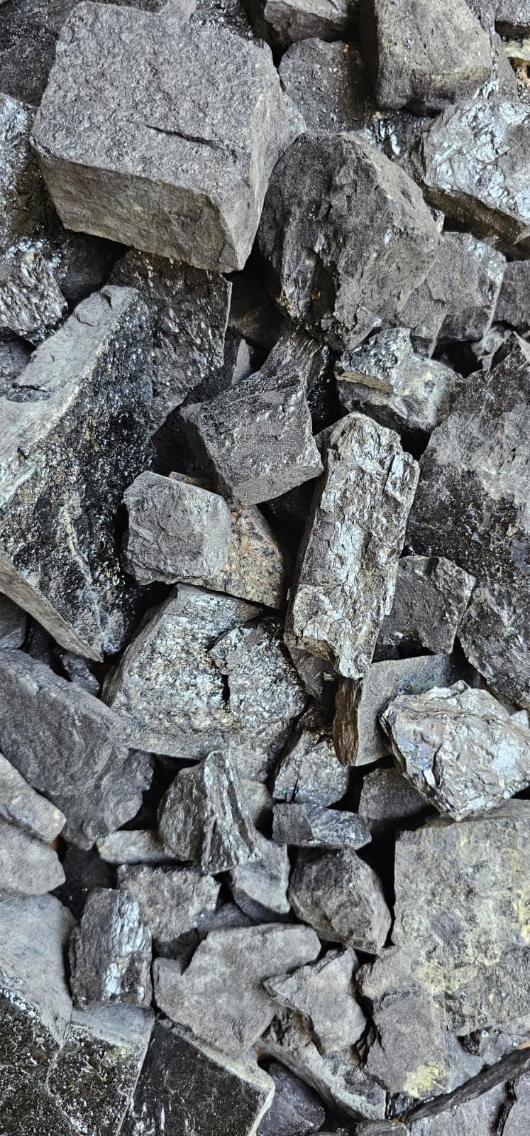 Anthracite Black Coal for Heating and Blacksmith Forges | Solid Fire Fuel | 1, 5, 10, 15, 25, 50 Pounds (1, Pounds)