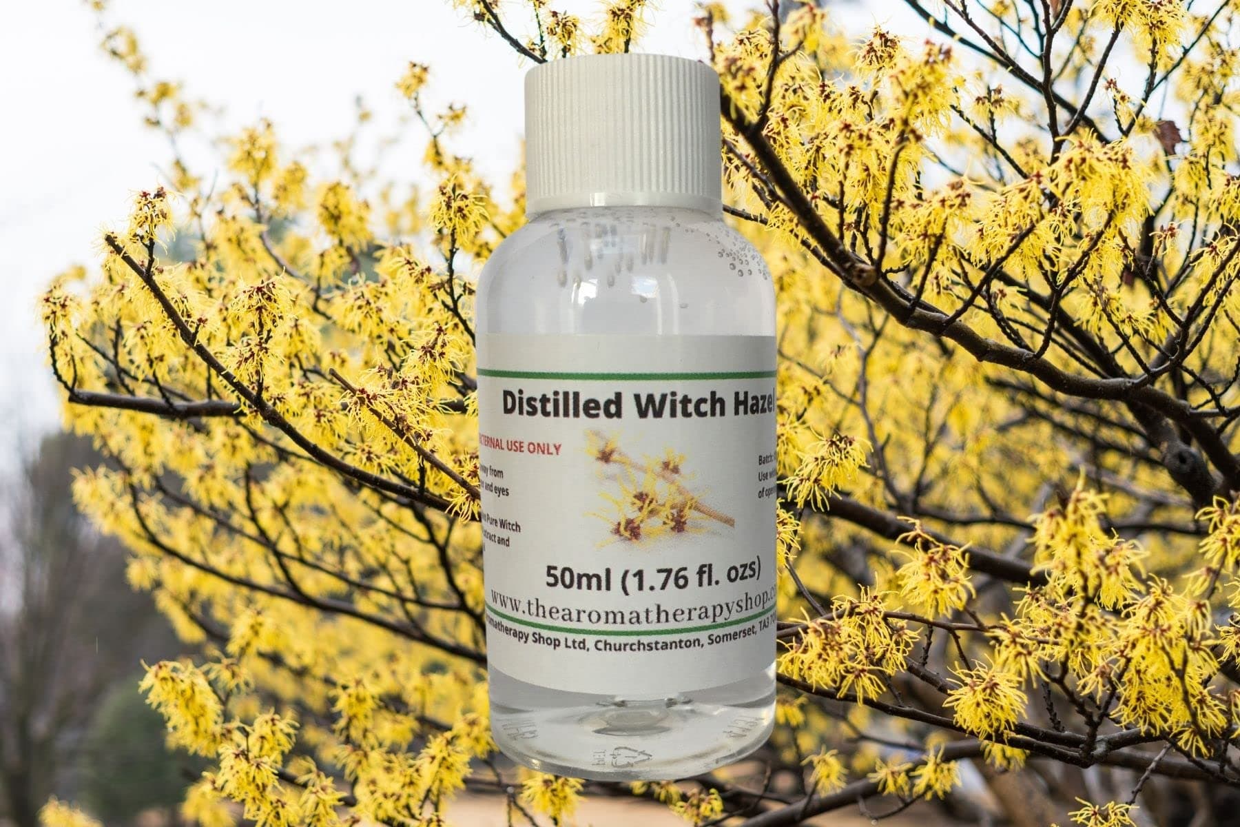 Distilled Witch Hazel 50ml