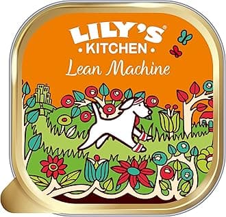Lily's Kitchen Lean Machine Adult Wet Dog Food (10 x 150g)