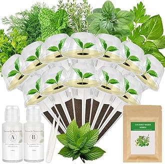 Gourmet Herb Seed Pod Kit for AeroGarden, idoo, Ahopegarden, MUFGA Hydroponics Garden with Basil, Parsley, Thyme, Mint, Cilantro, Dill, Oregano - Compatible with All Hydroponics (12-Pod)