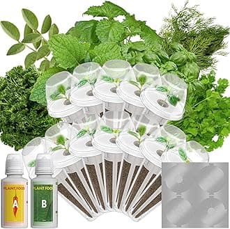 LYKOCLEAN Herb Seed Pods for AeroGarden, Ahopegarden, iDOO MUFGA Hydroponics Growing System Indoor Gardening, 400+ Seeds, Basil, Cilantro, Dill, Parsley, Mint, Shiso, Liquorice(12-Pods)
