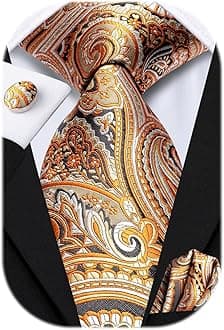 Hi-Tie Paisley Floral Ties Set for Men Silk Mens Stripes Necktie Pocket Square Cufflinks Set Formal Business