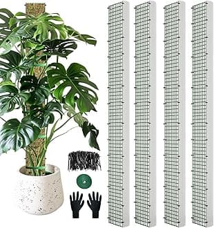 60" Metal Moss Pole, D Shape Sphagnum Moss Pole, Moss Poles for Climbing Plants, Monstera, Indoor Climbing Plants (4Pcs 60")