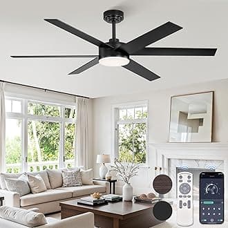 Fanbulous 56 Inch Ceiling Fans with Lights and Remote, Reversible 6 Blades, Dimmable, 3000K-6000K Adjustable, Outdoor Ceiling Fans for Patios, Large Ceiling Fan for Indoor or Covered Outdoor-Black