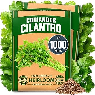 HOME GROWN 1000+ Cilantro Seeds for Planting Indoors or Outdoors - Non-GMO Heirloom Herbs, Coriander Plant Seeds, Herb Seeds Collection for Herb Garden (Coriandrum sativum)