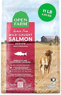 Grain-Free Dry Dog Food, Complete & Balanced Kibble, Sustainably & Ethically Sourced Ingredients, Non-GMO Veggies & Superfoods to Support Overall Health, Wild-Caught Salmon Recipe, 11lb Bag